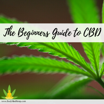 A Beginner’s guide to CBD (Cannabidiol)